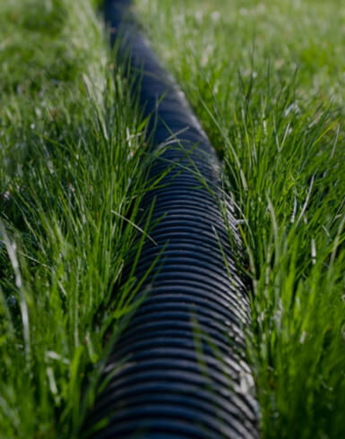 Black piping in grass